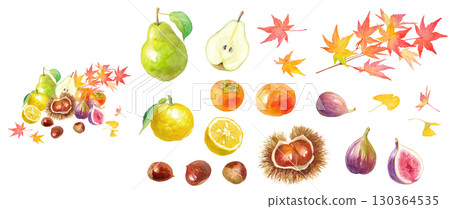 以秋葉為背景的秋冬水果水彩畫。各種元素。 以秋葉為背景的秋冬水果水彩畫。各種元素。 130364535