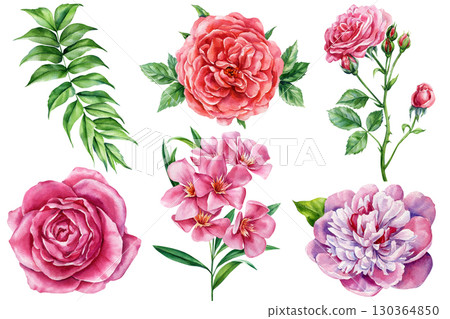 watercolor floral set with pink roses red peony tropical leaves and oleander flowers botanical illustration for design and decor 130364850