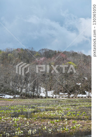 池原濕地的春天 池原濕地的春天 130365050