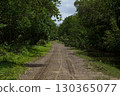 Dirt road through dense forest in the Northern Dominican Republic, Caribbean. 130365077