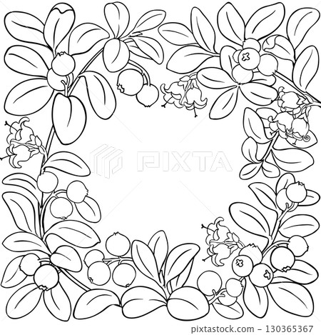 Lingonberry Branch with Berries Outline Frame 130365367