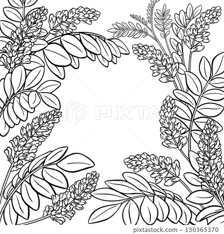 Licorice Branch with Flowers Outline Frame 130365370