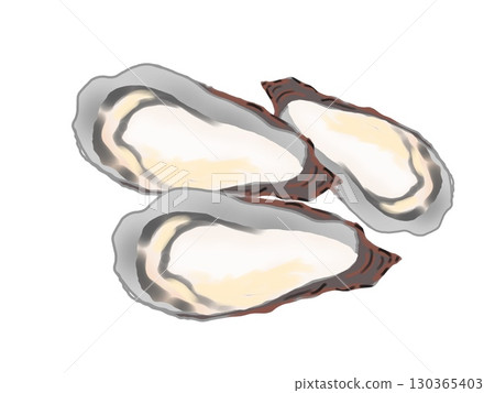 簡單的牡蠣插畫 130365403