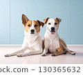 Message card from a dog 130365632