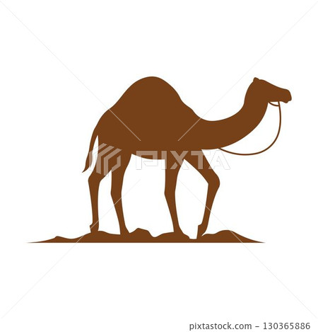 Camel illustration logo vector Camel illustration logo vector 130365886