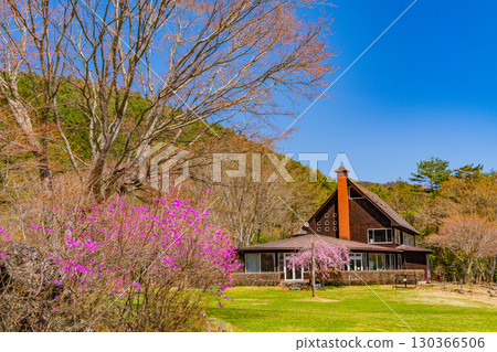 [山梨縣]西湖野鳥森林公園的櫻花和杜鵑花美不勝收 130366506