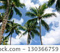 Beach Forest in the Northern part of Dominican Republic, Caribbean. 130366759