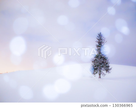 立在雪地上的聖誕樹 130366965