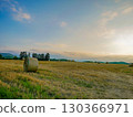 Scenery where grass roll spreads 130366971