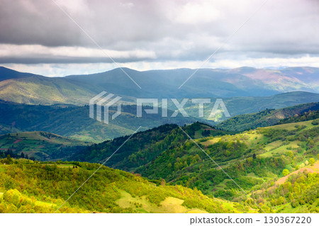 mountain landscape of ukraine in spring. rolling countryside scenery in dappled light. forest in lush green foliage on a hill under cloudy sky. scenic view in to the distant valley of mizhhirya region mountain landscape of ukraine in spring. rolling countryside scenery in dappled light. forest in lush green foliage on a hill under cloudy sky. scenic view in to the distant valley of mizhhirya region 130367220