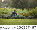 Woman Relaxing in a Lavender Garden 130367467