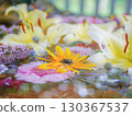 Gerbera floating in water 130367537