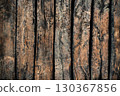 Incredibly beautiful wooden texture background made of aged logs arranged vertically and parallel to each other. Color horizontal photo 130367856