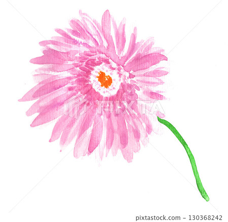 Pink gerbera painted in watercolor 2592pix7 130368242