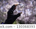 鎖上垂枝櫻花樹 130368393