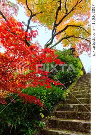 The stone steps of Yamazaki Shoten surrounded by autumn leaves 130368897