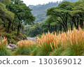 Pampas grass growing on river bank in lush forest landscape 130369012
