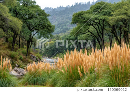 Pampas grass growing on river bank in lush forest landscape 130369012