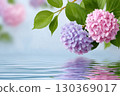 Pink and purple hortensia flowers reflecting on water surface 130369017