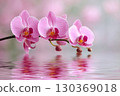 Pink orchids reflecting on water surface 130369018