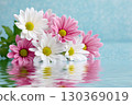 Bouquet of pink and white chrysanthemums reflecting on water surface 130369019