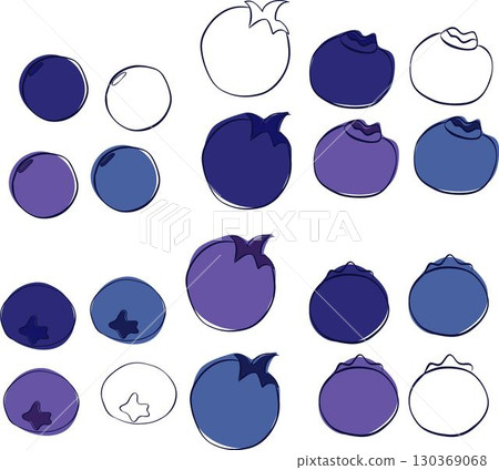 blueberries Vector graphics line set, isolated on transparent background, four colors 130369068