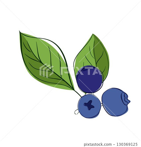 Fresh blueberries vector clip art and illustration, simple graphic line design. iconic picture, flat design Fresh blueberries vector clip art and illustration, simple graphic line design. iconic picture, flat design 130369125