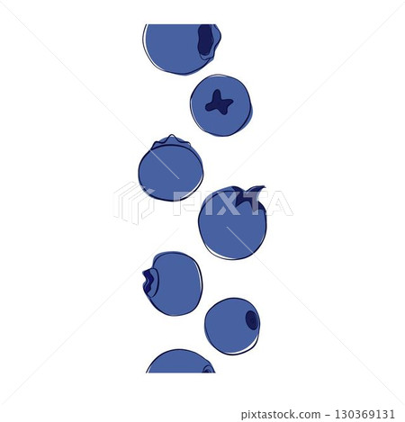 Graphic line natural seamless border vertical pattern. Vector Blue berries, whortleberry, huckleberry, hurtleberry, blaeberry 130369131