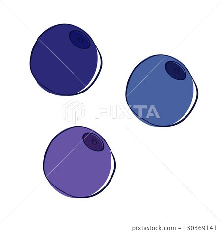 Blueberry graphic line vector illustration isolated on white transparent background 130369141