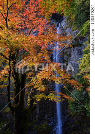Rokujuho Falls dyed in autumn leaves 130370204