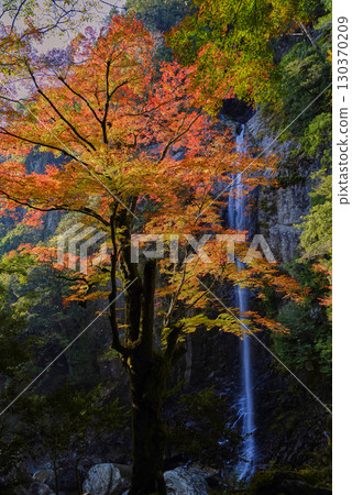 Rokujuho Falls dyed in autumn leaves Rokujuho Falls dyed in autumn leaves 130370209