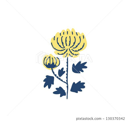 Chrysanthemum   130370342