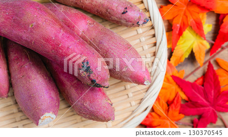 紅遙和秋色（地瓜） 130370545