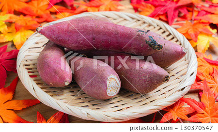 Beni Haruka and Autumn Colors (Sweet Potatoes) 130370547