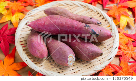 紅遙和秋色（地瓜） 130370549