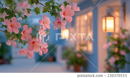 Colorful hibiscus decorating a residential garden 130370553