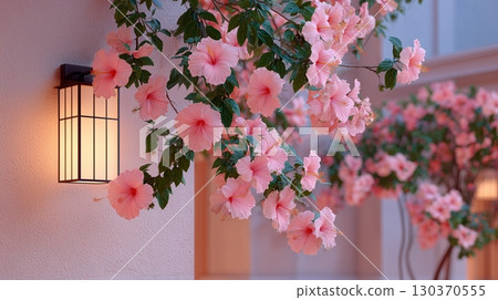 Colorful hibiscus decorating the entrance of a tropical home 130370555