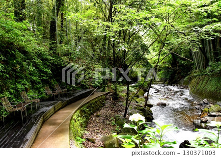 Yugawara Town Manyo Park Yugawara Soyugawa Road, terrace seats, Chitose River and fresh greenery 130371003