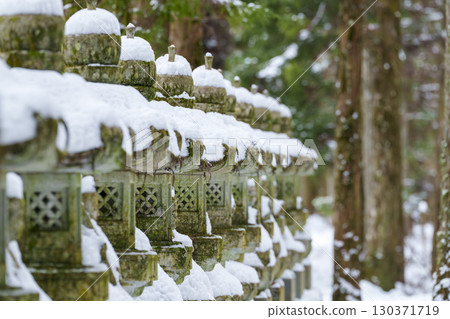 A row of snow-covered stone lanterns shrouded in tranquility 130371719
