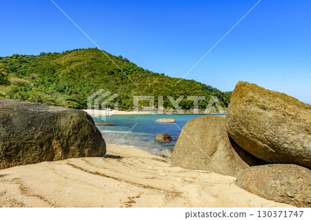 Beach and forest on Ilhabela 130371747