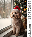Puppy in a Santa hat (indoor Christmas) 130372044