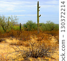 Winter San Tan Mountains Sonoran Desert Arizona 130372214