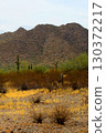 Winter San Tan Mountains Sonoran Desert Arizona 130372217