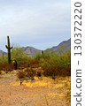 Winter San Tan Mountains Sonoran Desert Arizona 130372220
