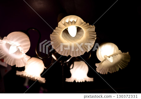 Five white flower lamps that stand out in the darkness Five white flower lamps that stand out in the darkness 130372331
