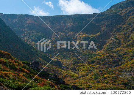 Adachi Adachi在秋天 Adachi Adachi在秋天 130372860