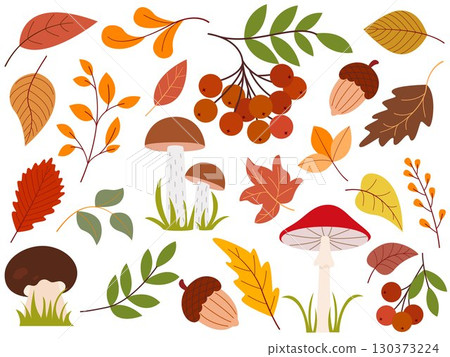 Autumn set of leaves, mushrooms, acorns and berries Autumn set of leaves, mushrooms, acorns and berries 130373224