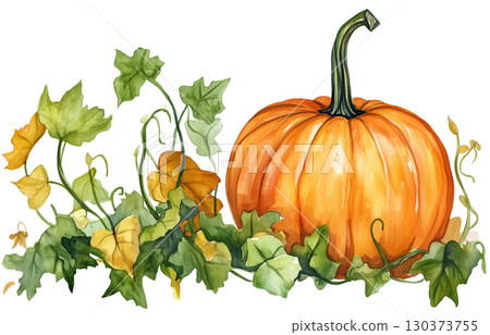 Halloween pumpkin vine vegetable watercolor painting isolated on white background transparent PNG clipart. 130373755