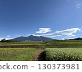 Blue sky, rice fields and buckwheat flowers in Yatsugatake 130373981