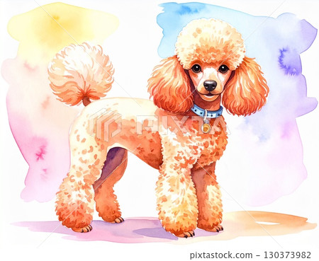 玩具貴賓犬水彩 130373982